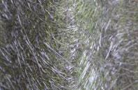 Michaelston Le Pit fibreglass roof work